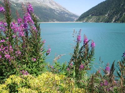 010-Am Schlegeisspeicher